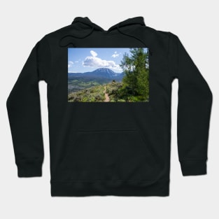 Buffalo Mountain from Hiking Trail Hoodie